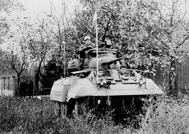 Bildgr&ouml;&szlig;e auf die Monitoraufl&ouml;sung (640x480 px) optimiert