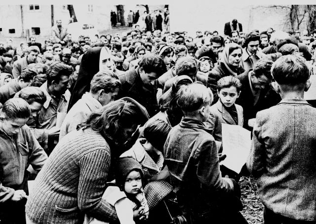 Bildgr&ouml;&szlig;e auf die Monitoraufl&ouml;sung (640x480 px) optimiert