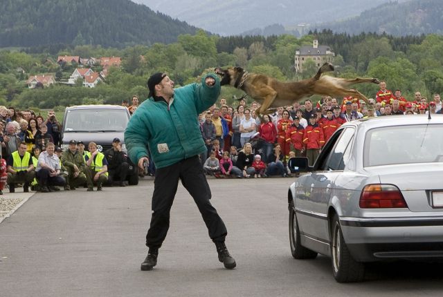 Bildgröße auf die Monitorauflösung (640x480 px) optimiert