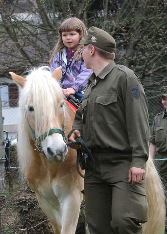 Bildgröße auf die Monitorauflösung (640x480 px) optimiert