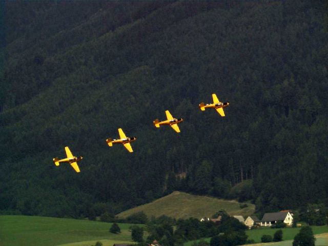 Bildgröße auf die Monitorauflösung (640x480 px) optimiert