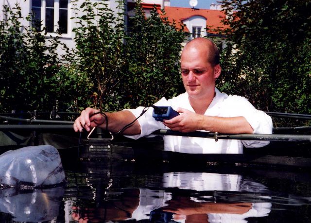 Bildgröße auf die Monitorauflösung (640x480 px) optimiert