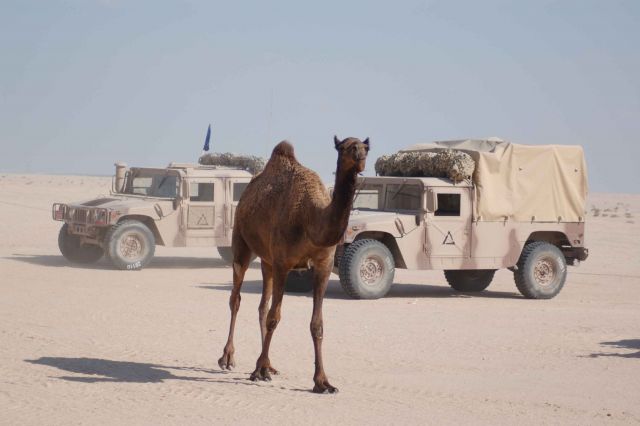 Bildgr&ouml;&szlig;e auf die Monitoraufl&ouml;sung (640x480 px) optimiert