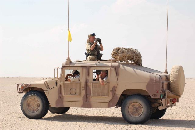 Bildgröße auf die Monitorauflösung (640x480 px) optimiert