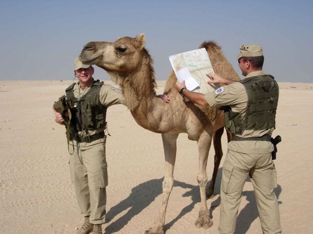 Bildgröße auf die Monitorauflösung (640x480 px) optimiert