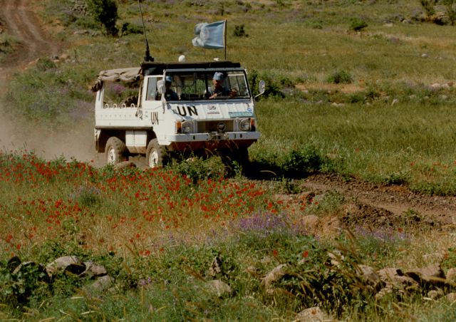 Bildgröße auf die Monitorauflösung (640x480 px) optimiert