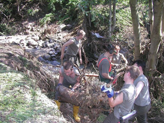 Bildgröße auf die Monitorauflösung (640x480 px) optimiert