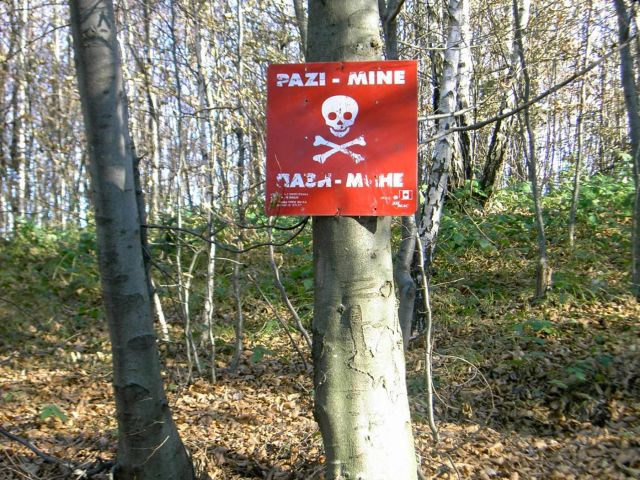 Bildgr&ouml;&szlig;e auf die Monitoraufl&ouml;sung (640x480 px) optimiert