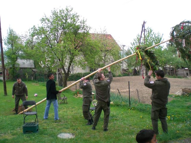 Bildgröße auf die Monitorauflösung (640x480 px) optimiert