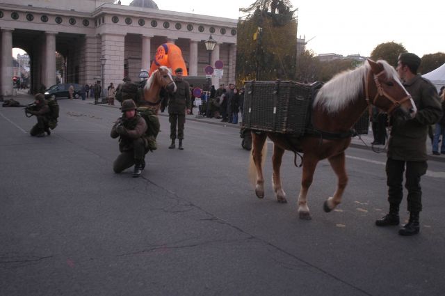 Bildgröße auf die Monitorauflösung (640x480 px) optimiert