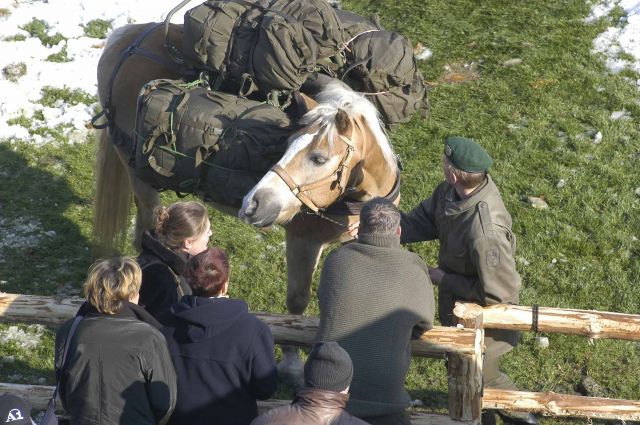 Bildgröße auf die Monitorauflösung (640x480 px) optimiert