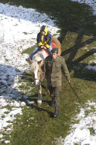 Bildgröße auf die Monitorauflösung (640x480 px) optimiert