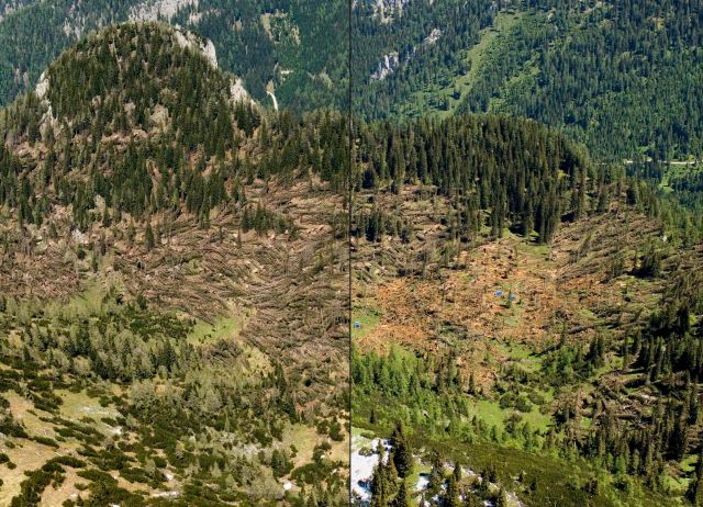 Bildgr&ouml;&szlig;e auf die Monitoraufl&ouml;sung (640x480 px) optimiert