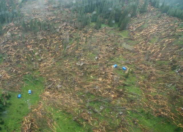 Bildgröße auf die Monitorauflösung (640x480 px) optimiert