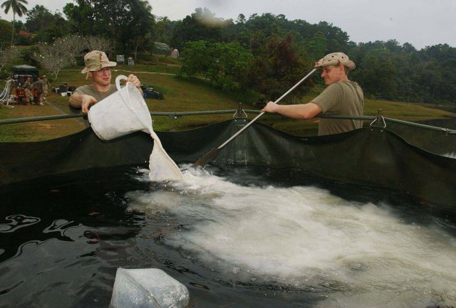 Bildgr&ouml;&szlig;e auf die Monitoraufl&ouml;sung (640x480 px) optimiert