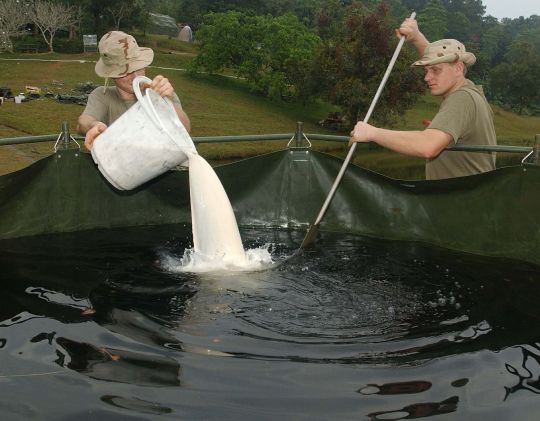 Bildgröße auf die Monitorauflösung (640x480 px) optimiert