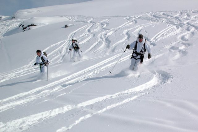 Bildgröße auf die Monitorauflösung (640x480 px) optimiert