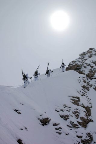 Bildgröße auf die Monitorauflösung (640x480 px) optimiert