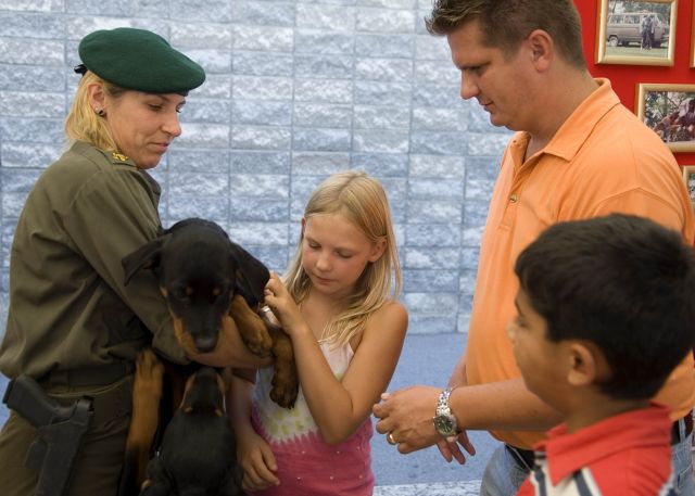 Bildgröße auf die Monitorauflösung (640x480 px) optimiert