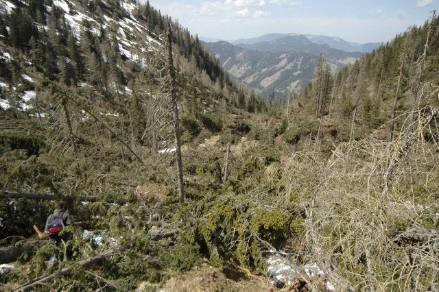 Bildgr&ouml;&szlig;e auf die Monitoraufl&ouml;sung (640x480 px) optimiert