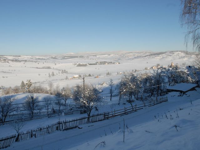 Bildgröße auf die Monitorauflösung (640x480 px) optimiert