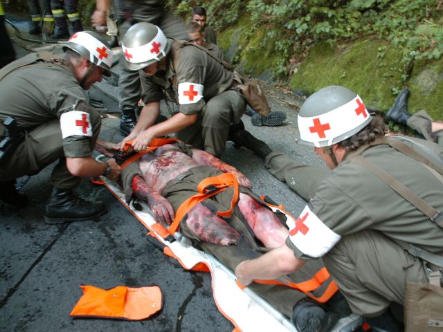 Bildgr&ouml;&szlig;e auf die Monitoraufl&ouml;sung (640x480 px) optimiert