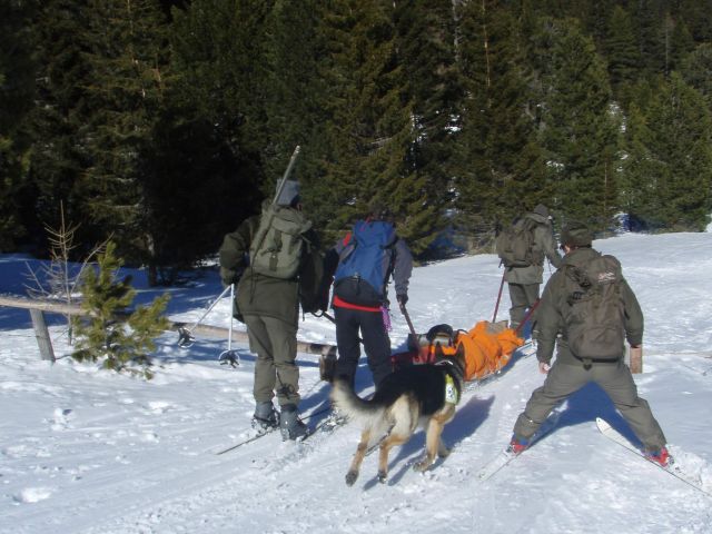 Bildgr&ouml;&szlig;e auf die Monitoraufl&ouml;sung (640x480 px) optimiert