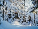 Schneeschuhe ermöglichen Bewegungen auch bei großen Schneemengen. (Bild öffnet sich in einem neuen Fenster)