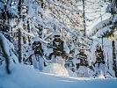 Winterkampf. (Bild öffnet sich in einem neuen Fenster)