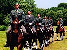 Bis zu 80 Fähnriche lernen jährlich an der Akademie das Reiten. (Bild öffnet sich in einem neuen Fenster)