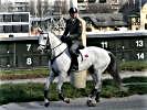 Hauptmann Pulsinger - Kommandant des Reitausbildungszuges. (Bild öffnet sich in einem neuen Fenster)