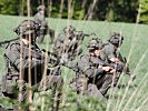Soldaten bereiten sich auf das Durchkämmen eines Waldstückes vor. (Bild öffnet sich in einem neuen Fenster)