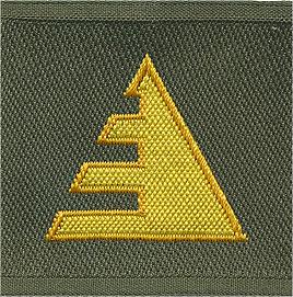 Expert Patch