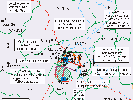 Afghanistan 1999: Zentren der Kämpfe zw. Taliban und Oppositionsallianz.