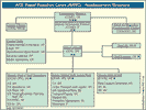 ACE RapidReaction Corps ARRC - Headquarters Structure.