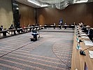 30 Expterten nahmen an dem Workshop teil. (Bild öffnet sich in einem neuen Fenster)