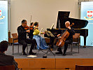 Das Musikertrio spielte Beethoven bis Schubert. (Bild öffnet sich in einem neuen Fenster)