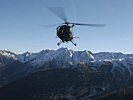 Erhöhter Flugverkehr im Teuchlgraben. (Bild öffnet sich in einem neuen Fenster)