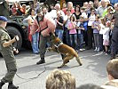 Danach bewies ein Schutzhund, dass auf ihn Verlass ist. (Bild öffnet sich in einem neuen Fenster)