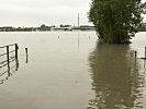 In Goldwörth war die Donau 5 km breit. (Bild öffnet sich in einem neuen Fenster)