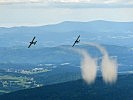 Auch PC-6-Flugzeuge kommen bei Waldbränden zum Einsatz. (Bild öffnet sich in einem neuen Fenster)