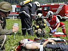 ...und für den Transport ins Krankenhaus bereit gemacht. (Bild öffnet sich in einem neuen Fenster)