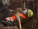 Übungsannahme: Ein Soldat gerät verletzt unter einen Baum. (Bild öffnet sich in einem neuen Fenster)