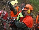 Das Abschneiden von Wurzelstöcken wird trainiert. (Bild öffnet sich in einem neuen Fenster)