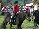 Das Reiten fand regen Zuspruch ... (Bild öffnet sich in einem neuen Fenster)