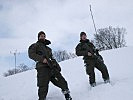 Soldaten beim Streifenrundgang... (Bild öffnet sich in einem neuen Fenster)