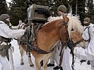 Am Versorgungspunkt werden die Haflinger mit Proviant beladen. (Bild öffnet sich in einem neuen Fenster)