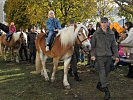 Kinder durften auf den Tieren auch reiten. (Bild öffnet sich in einem neuen Fenster)