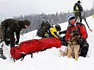 Gut ausgebildete Lawinensuchhunde unterstützen die Einsatzkräfte.