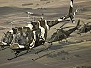 Die österreichischen Helikopter-Besatzungen trainieren mit Teams aus sechs Nationen.